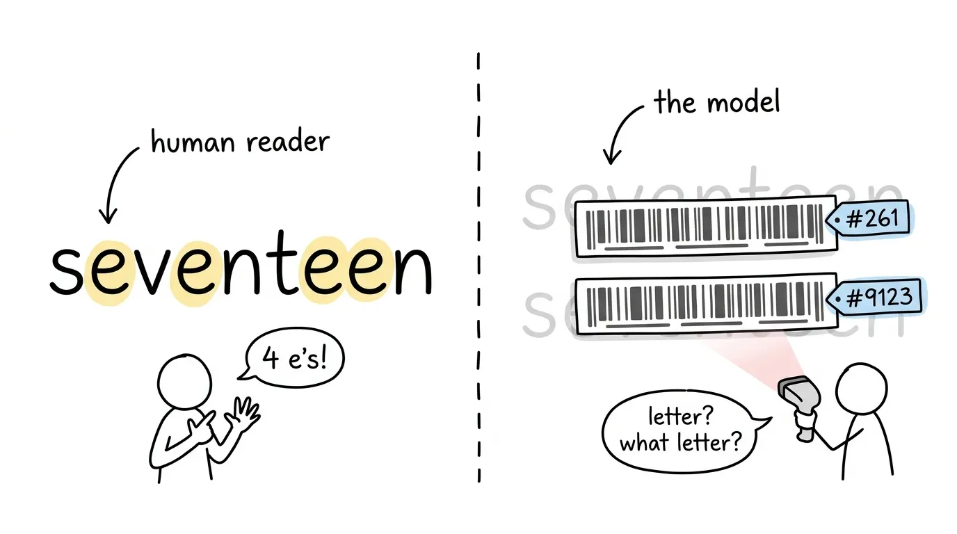 A human reads the letters of "seventeen" and counts four e's; the model only sees barcode-like token IDs