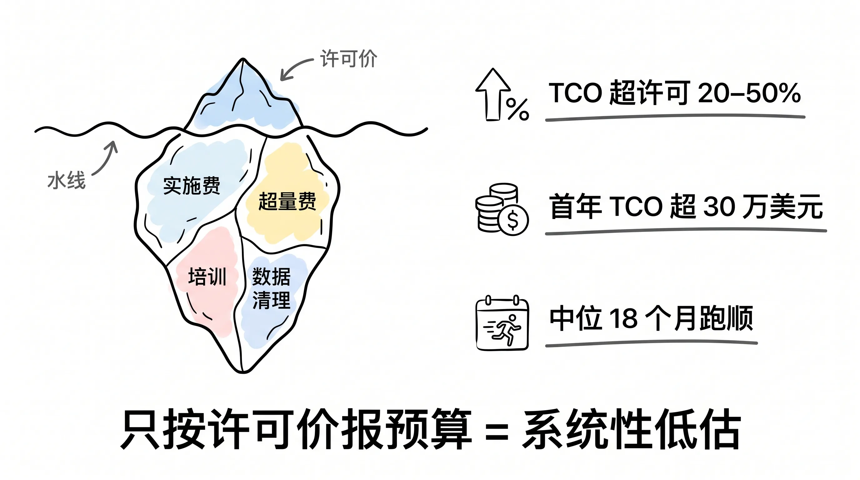 配图:首年真实账本——许可价只是冰山一角